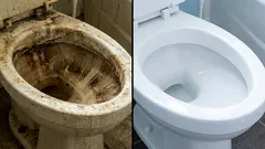 Kiiltävä WC ilman kalliita kemikaaleja: 5 edullista tapaa poistaa pinttyneet tahrat nopeasti